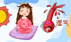 湿气爆表！这些“加湿”行为要叫停！