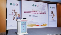 四川省医师协会2025年输血科医师分会会议在蓉召开