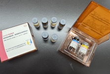 四川发布：实现多种实体瘤的高效清除 通用型肿瘤治疗性疫苗成功研发