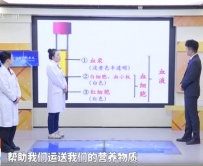 20251130：血液那些你不知道的事