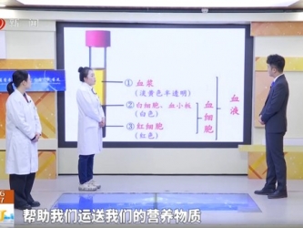 20251130：血液那些你不知道的事