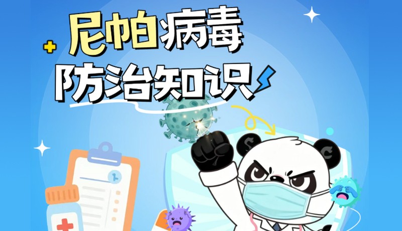 高致死率？印度尼帕病毒爆发，做好这三点，不用慌！