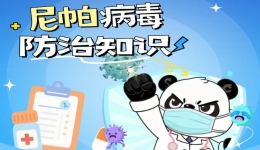 高致死率？印度尼帕病毒爆发，做好这三点，不用慌！