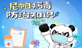 高致死率？印度尼帕病毒爆发，做好这三点，不用慌！