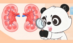 肾脏最怕这7件事，你可能每天都在做！