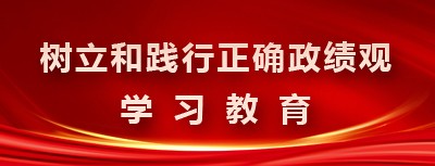 正确政绩观学习教育
