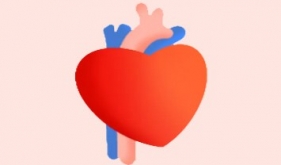 硝酸甘油vs速效救心丸：心脏急救药，用对才救命！