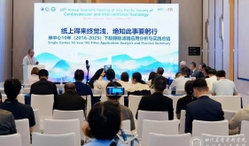 放射科谢坪教授在APSCVIR年会上深度解读下腔静脉滤器临床应用成果