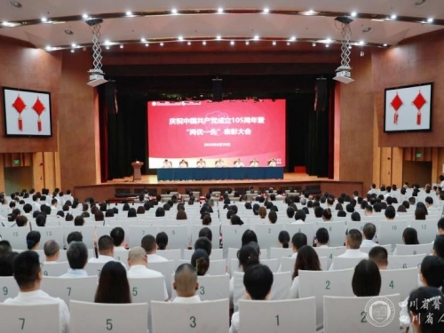 院党委召开庆祝中国共产党成立105周年暨“两优一先”表彰大会