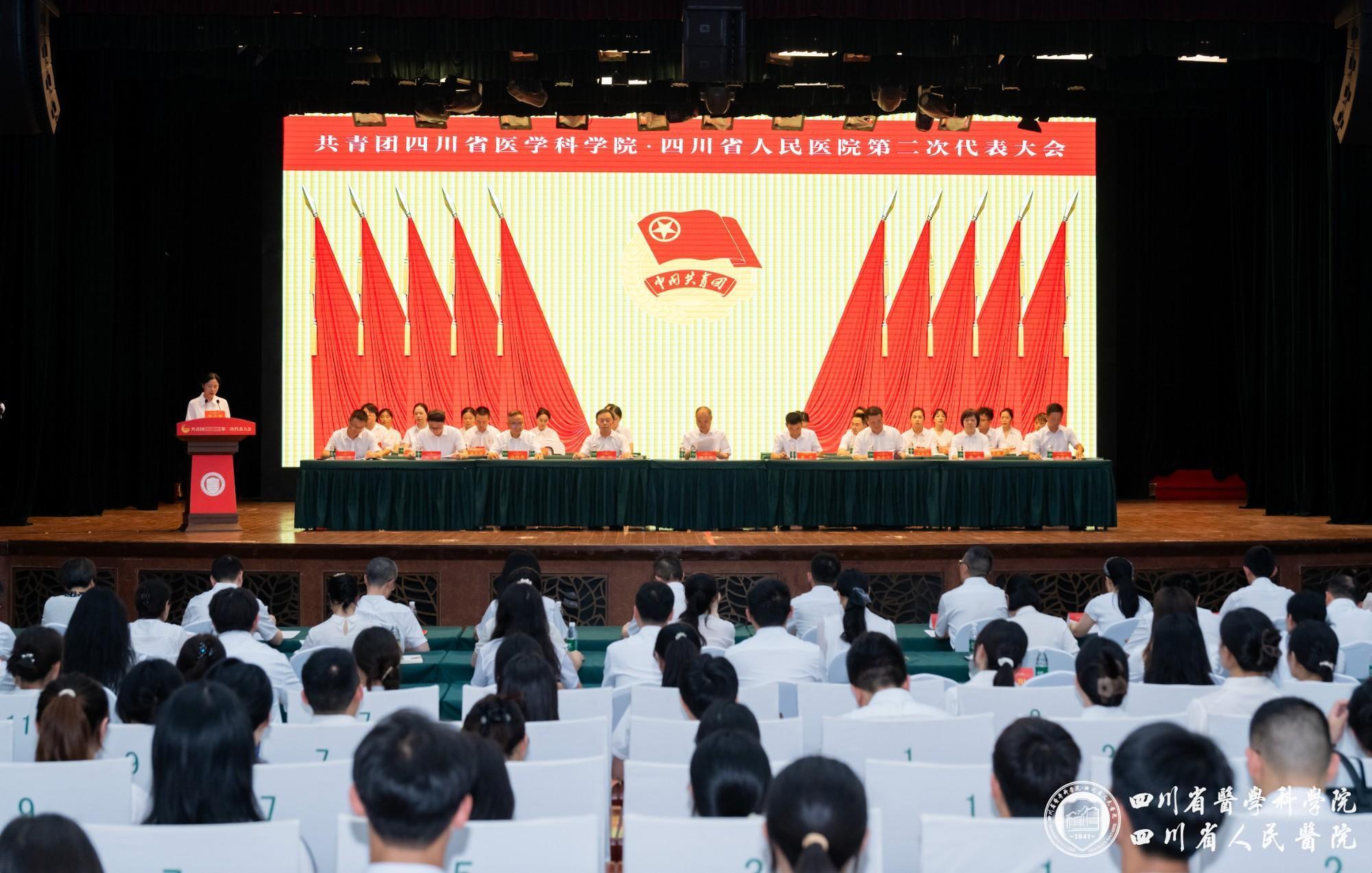 图片1.0