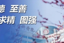 援外人物风采④｜陈锋：放手不放眼，为佛得角培养“带不走的医疗队”