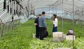 实地溯源排隐患 筑牢食材安全防线——临床营养科开展2026年食材溯源调研